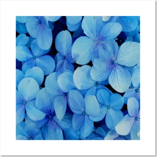 Blue Petaled flower Posters and Art
